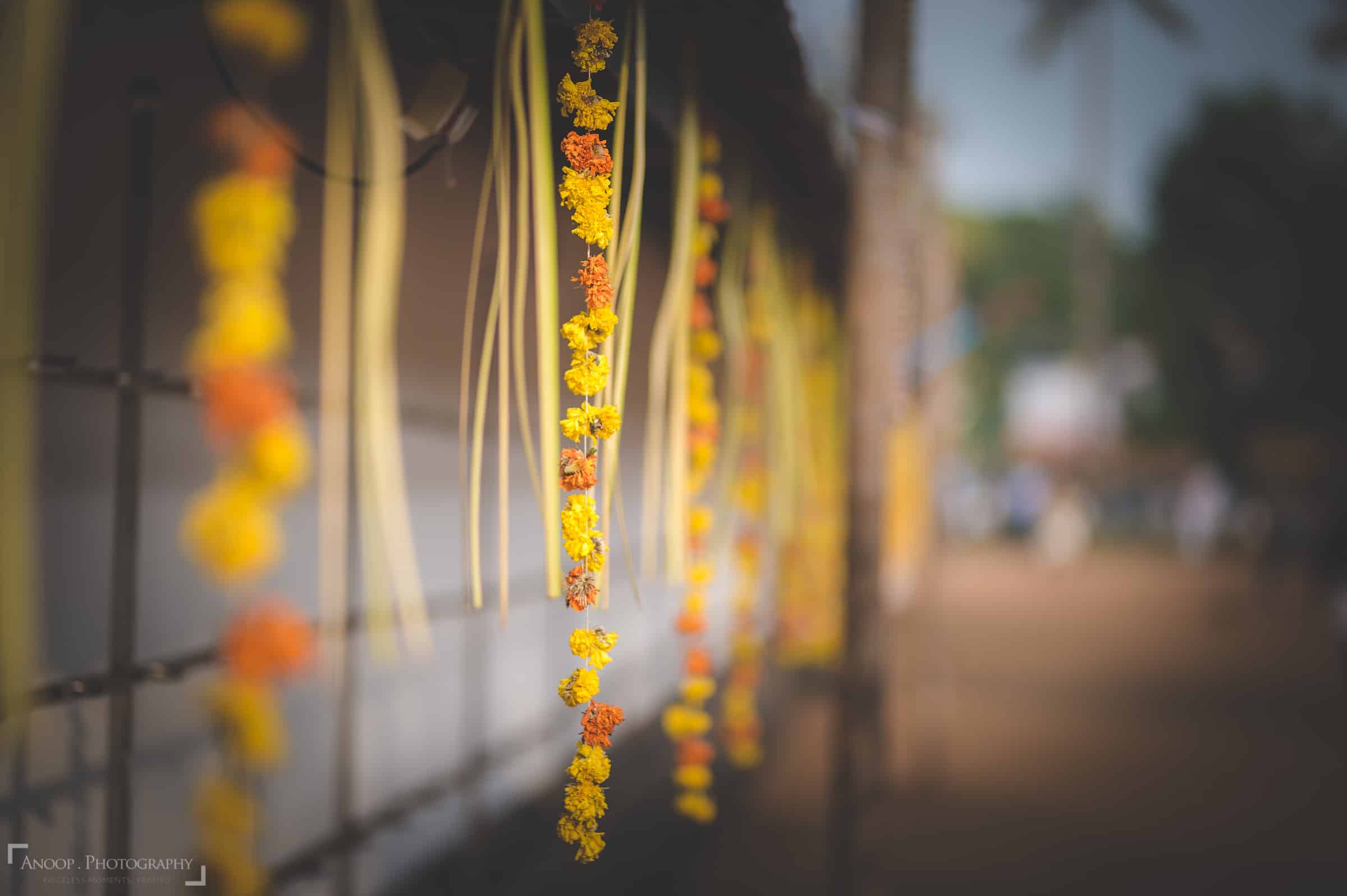 sigma-85mm-f1-4-art-lens-bokeh-daylight-sample-photo-002