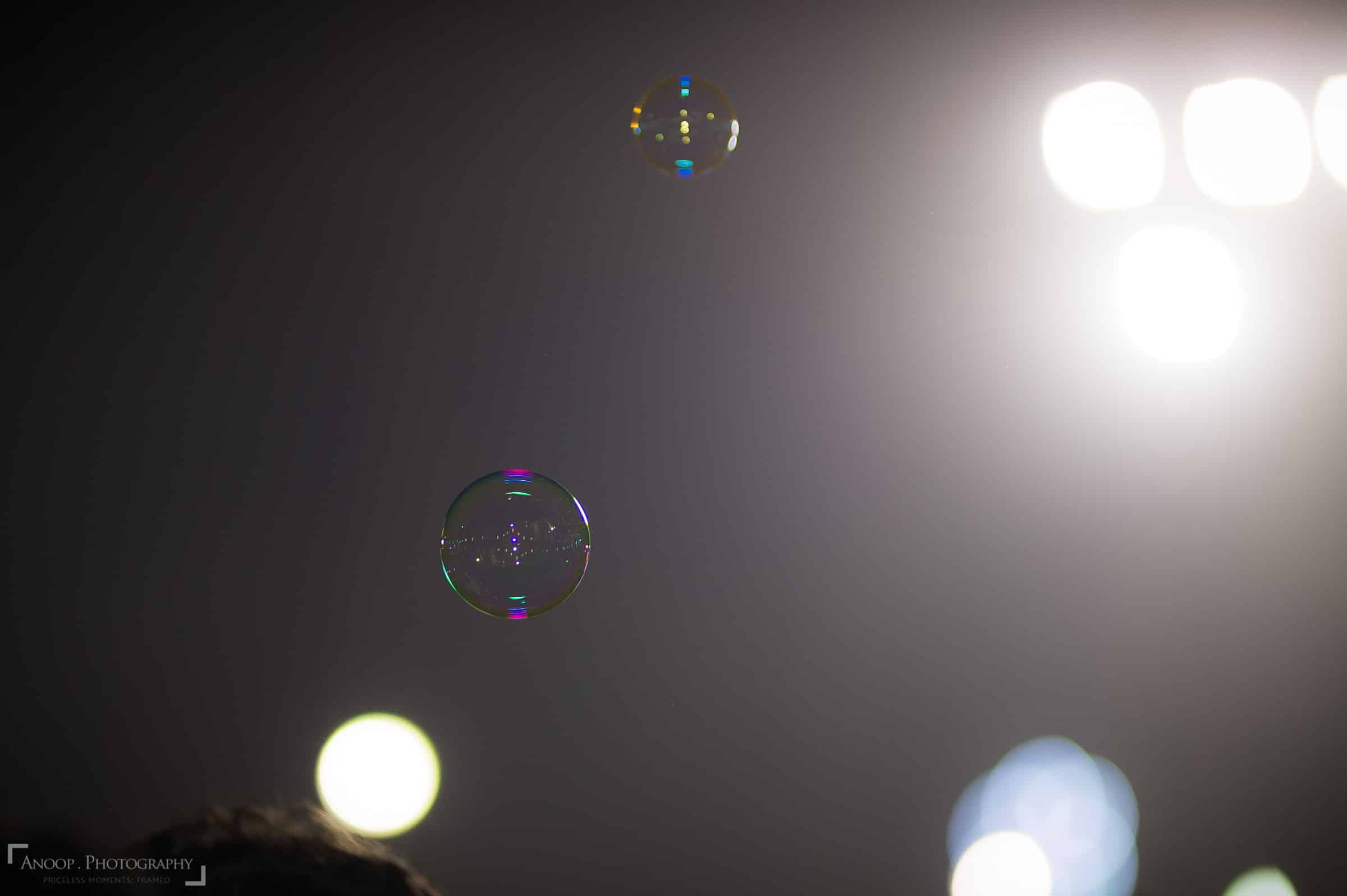 sigma-85mm-f1-4-art-lens-sample-photo-020
